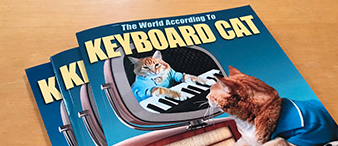 Keyboard Cat 键盘猫