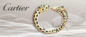 Cartier 卡地亚（Richemont）