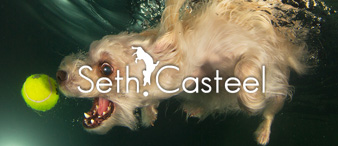 [全球盾 22-3914、3892、3856]Keith代理摄影师Seth Casteel发案！尚未提起TRO动议[22-cv-3914、3892、3856]